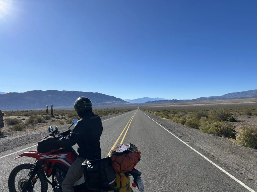 La route Tin Tin dans le parc national Los Cardones, la plus longue ligne droite du monde entourée de cactus